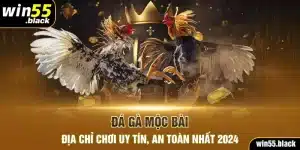 Đá Gà Mộc Bài - Địa Chỉ Chơi Uy Tín, An Toàn Nhất 2024