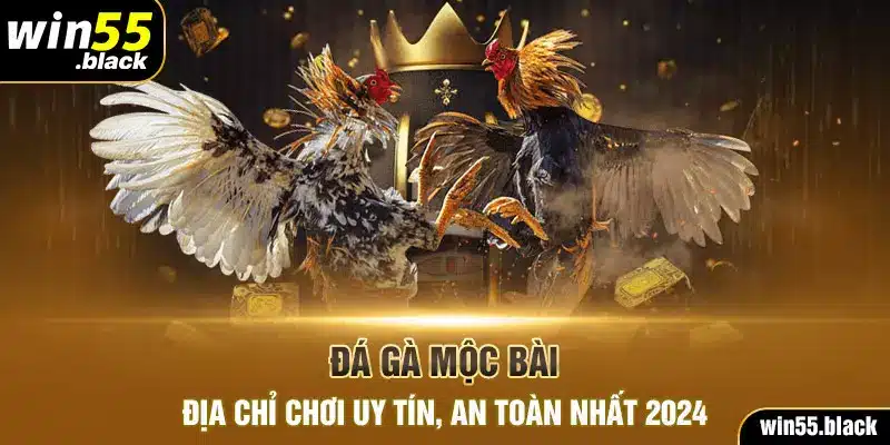 Đá Gà Mộc Bài - Địa Chỉ Chơi Uy Tín, An Toàn Nhất 2024
