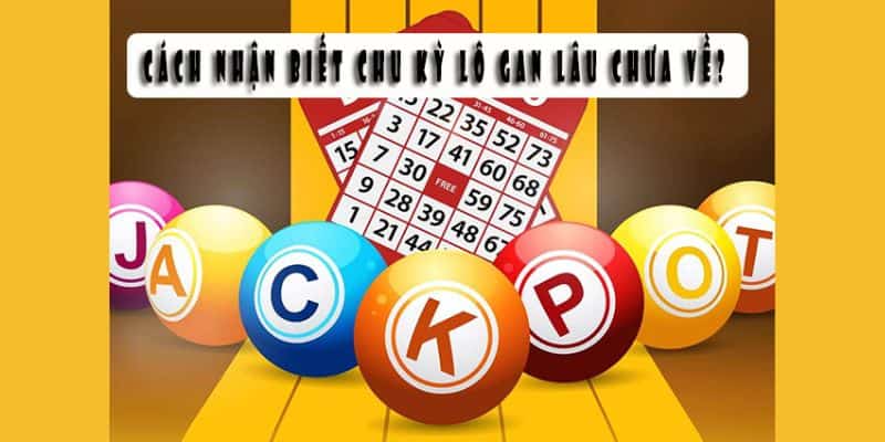 Cách nhận biết chu kỳ lô gan hôm nay