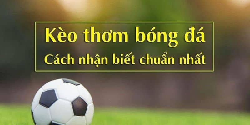 Dấu hiệu nhận biết thời điểm xuất hiện kèo thơm